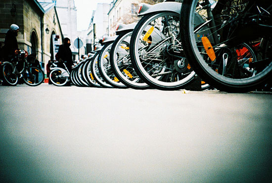 Photo: 