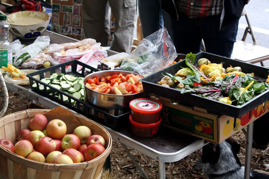 The goodies from the Alemany Farm.