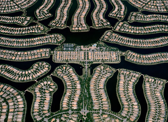 Sprawl-anemones-2