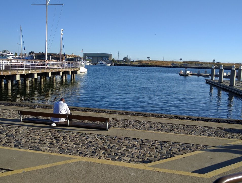 Commentary: Estuary Ferry Should Run as a Horizontal Elevator, Not a Bus