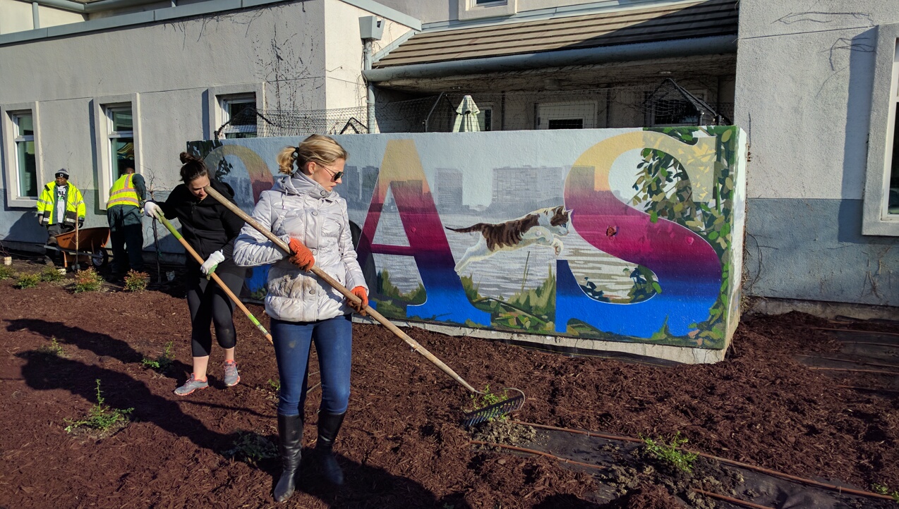 Volunteers Mulching TKTK Photo: Streetsblog