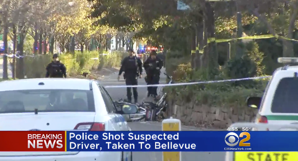 Carnage on New York Bike and Walking Path