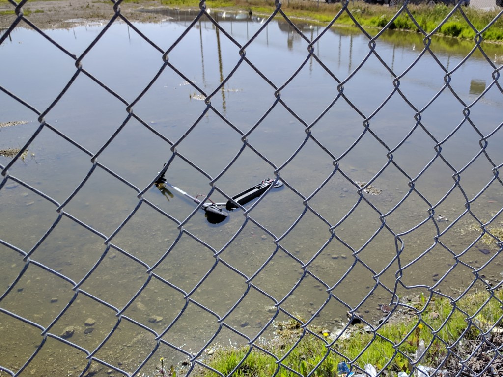 Silliness with Scooters