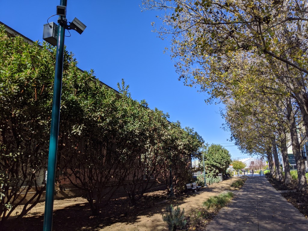 Eyes on the Path: Better Bike and Ped Crossings in Emeryville