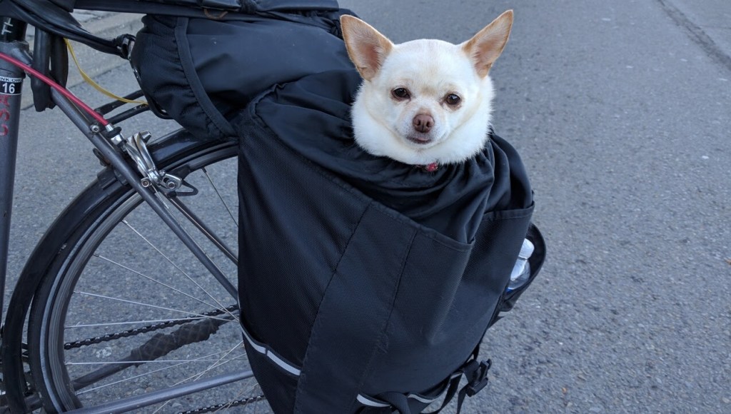 Headlines, May 14, ‘Bike to Wherever’ Day