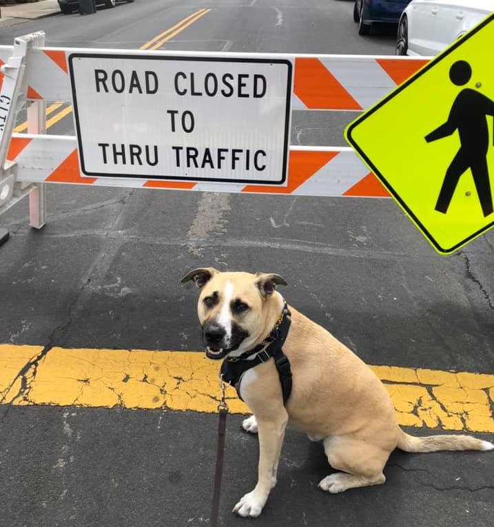 Want a More Livable and Equitable Bay Area? Donate to Streetsblog SF Today!