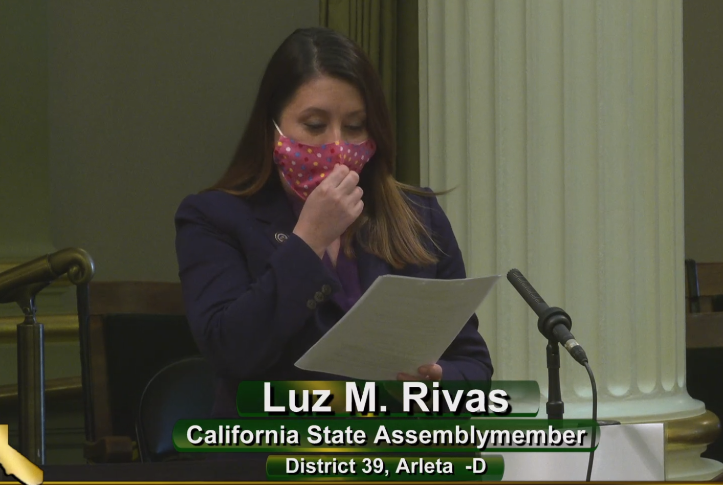 Rivas, introducing her HSR funding diversion bill, during a hearing. Image from state Assembly TV.