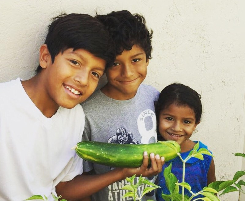 Bicycle Deliveries, Feeding Families, Creating Resilience: A Perfect Combination