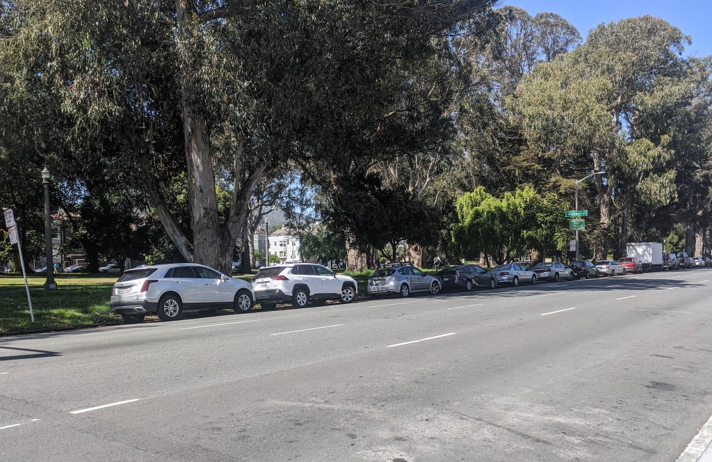 Panhandle Protected Bike Lane Burned