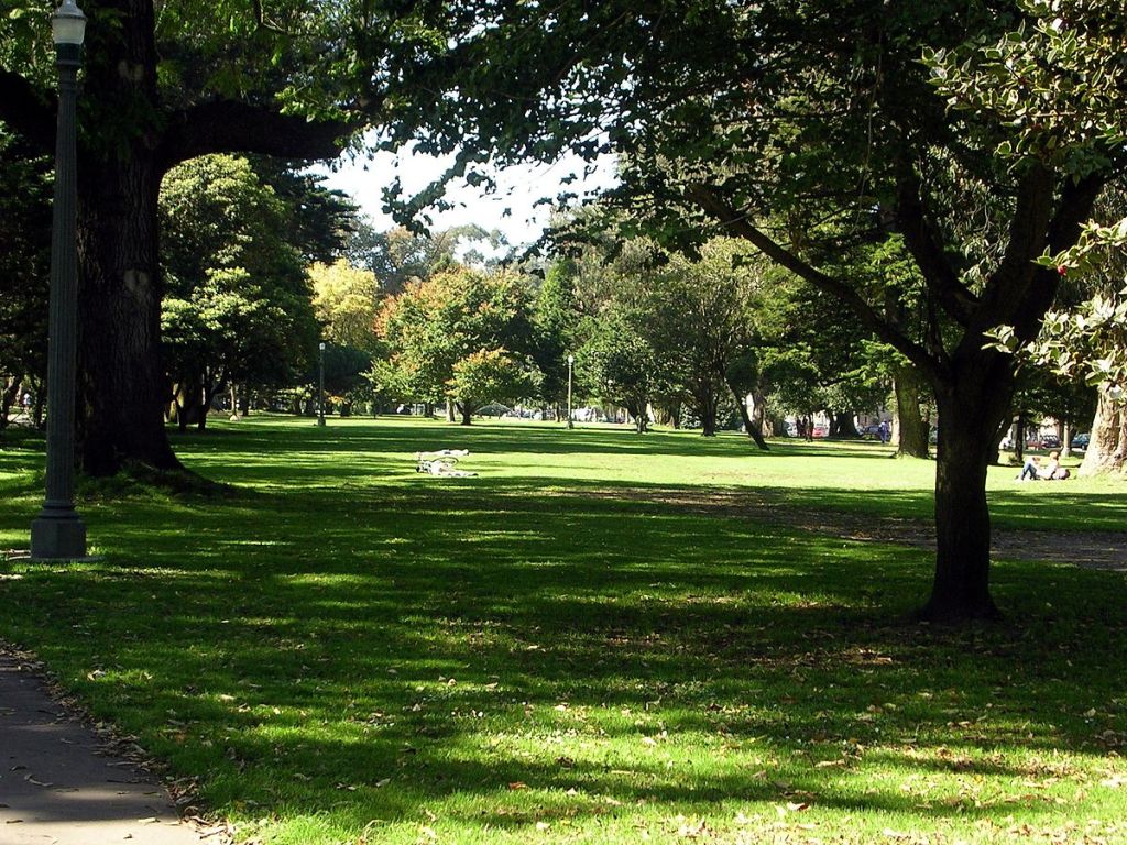 Oak Street Protected Bike Lane Approved. Questions Remain About Section in Panhandle Park