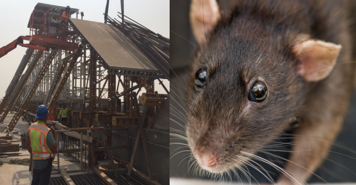 LA Times’s Latest High-Speed Hypocrisy