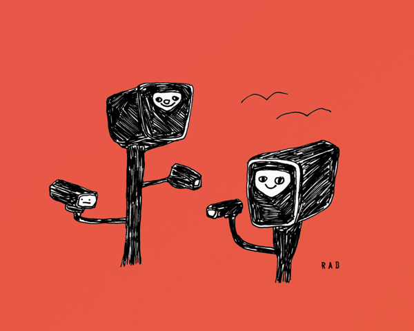 More Evidence that Speed Cameras Save Lives