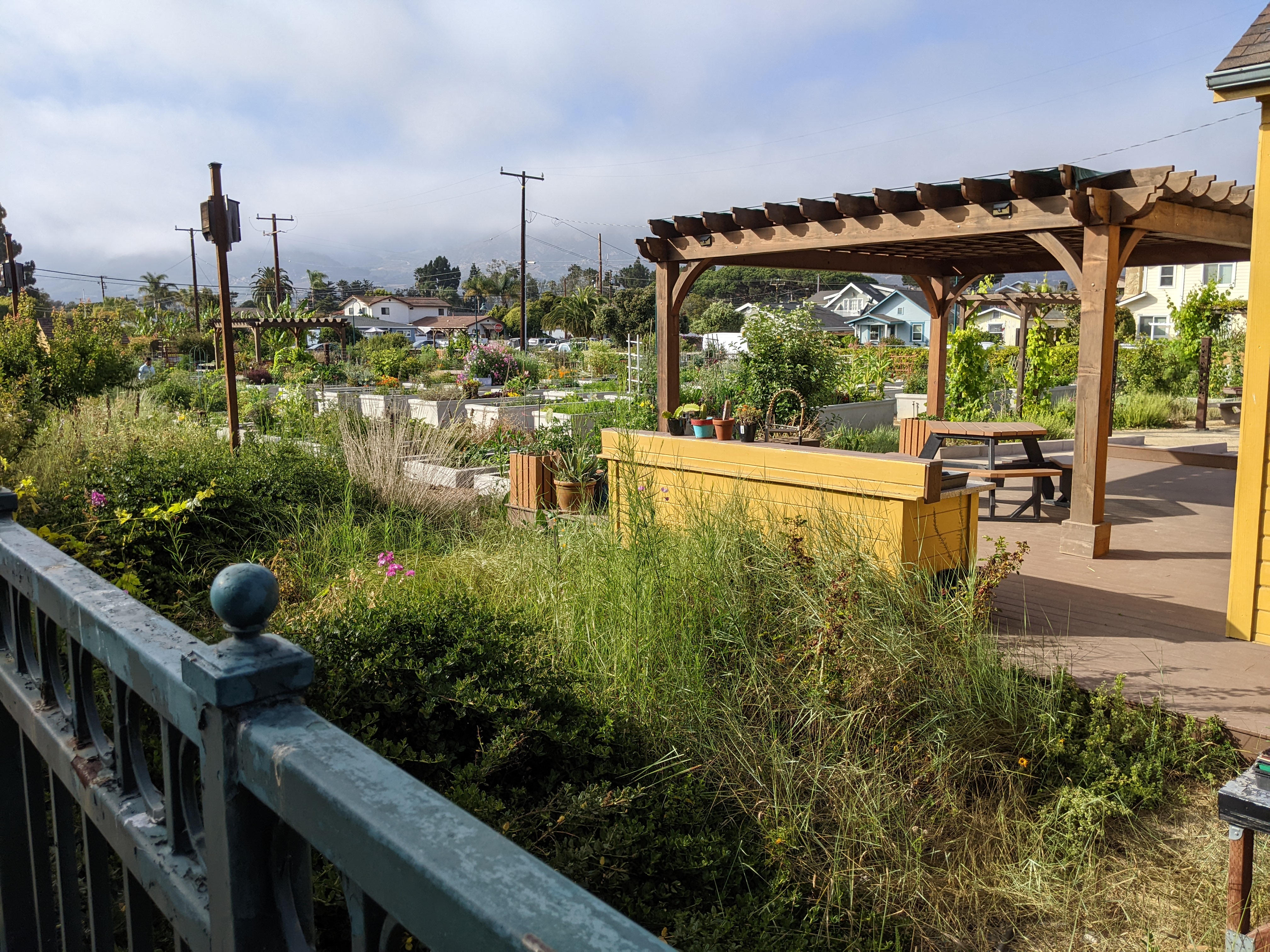 The community garden that is the first thing one sees getting off the train in Carpinteria