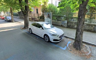 Planting Trees In the Street