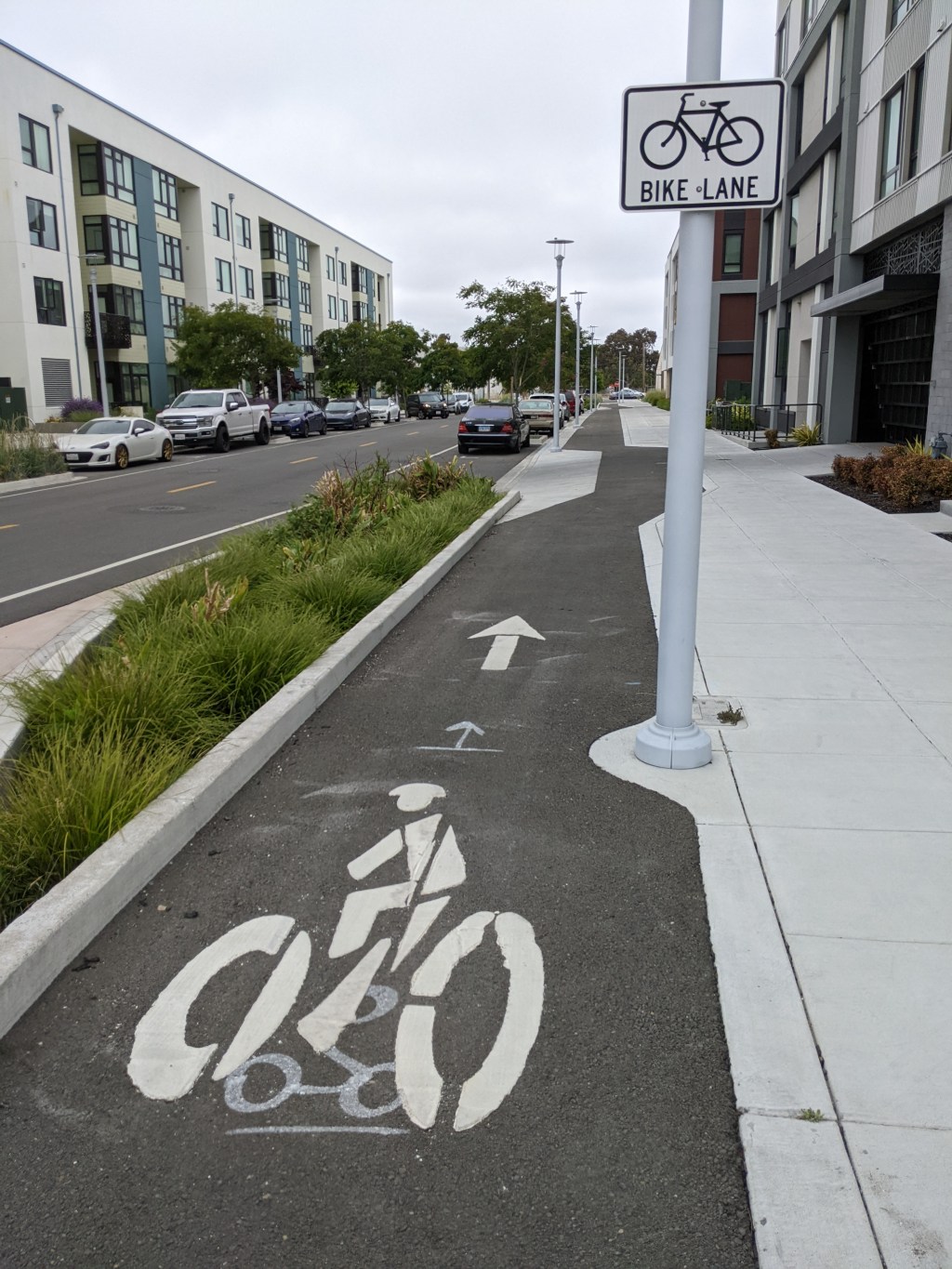 Governor Newsom Signs Complete Streets Bill