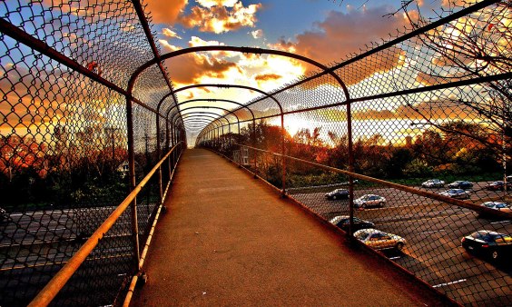 How To Take a Freeway Fight to the Next Level