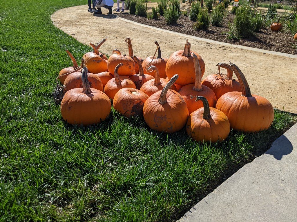 Spooky Headlines, October 31