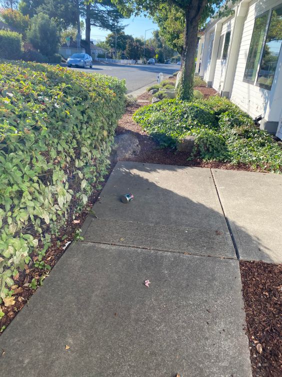 Week Without Driving Day 2: Where the Sidewalk Ends