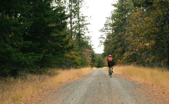 Popular Cycling Roads and Trails Threatened by Trump’s Public Lands Sell-off