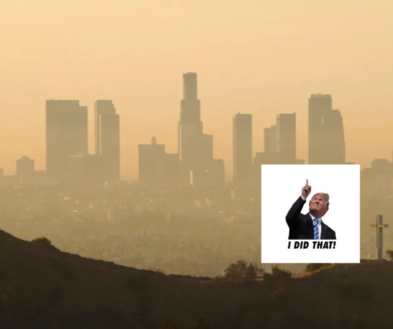 California And Ten Other Friends Go to Battle with Trump Over EV’s