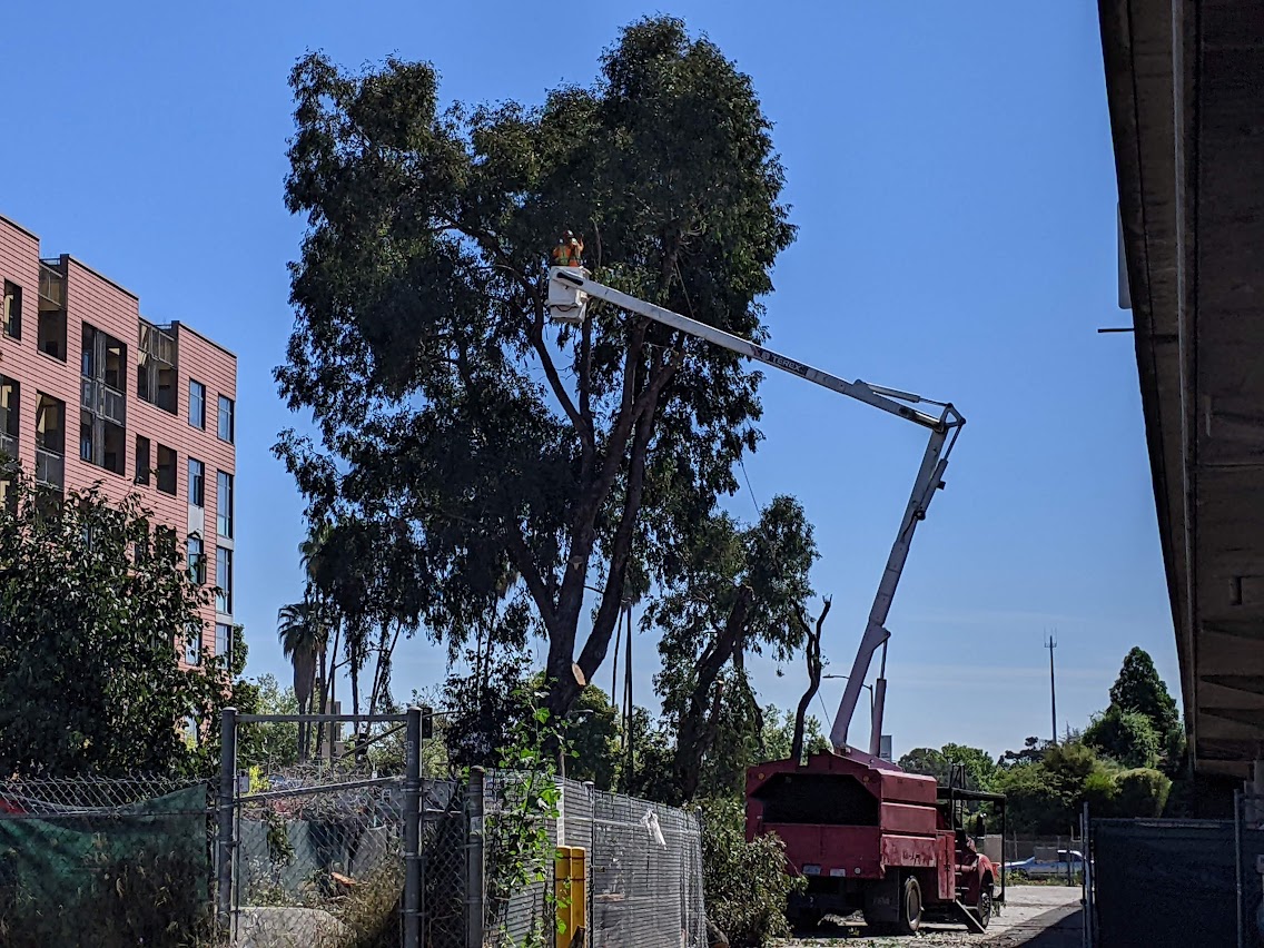 Caltrans and Alameda Officials Celebrate Launch of Nimitz Freeway Widening Project Through Oakland's Chinatown - Streetsblog San Francisco