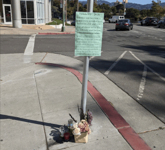 Amplification: Advocates Demand Action on Lakeside After Driver Kills Pedestrian in Crosswalk